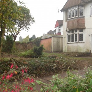 DSC01818